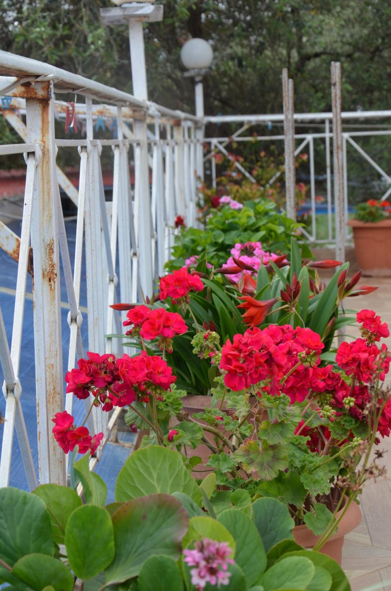 Garden Villa Veli Ksamil Luaran gambar